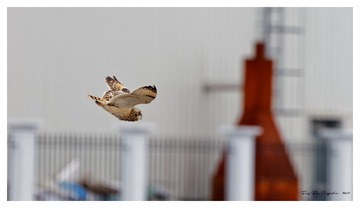 181A9520_DxO