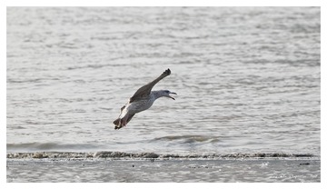 181A9533_DxO