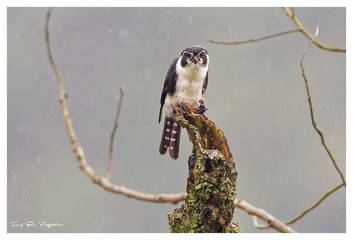 3U1A5930_DxO