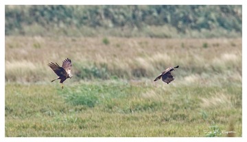 181A5570_DxO