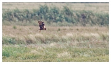 181A5654_DxO