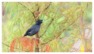 181A6571_DxO_DxO