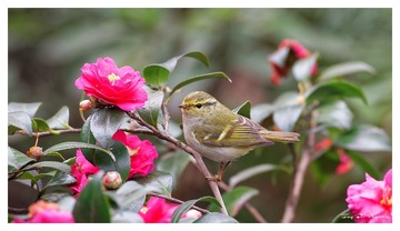 IMG_7725_DxO