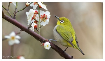 IMG_7853_DxO