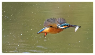 IMG_9600_DxO