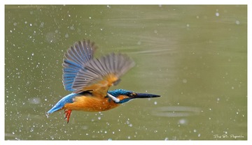 IMG_9639_DxO