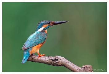 IMG_4425_DxO