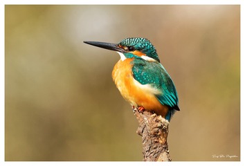 IMG_9412_DxO
