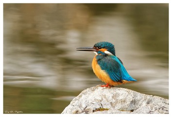 IMG_9663_DxO