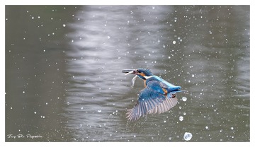 BC9R0273_DxO