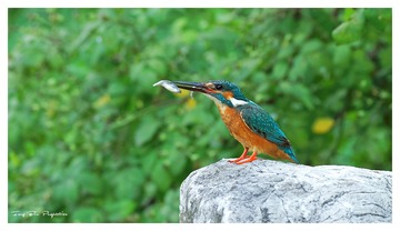 IMG_1466_DxO