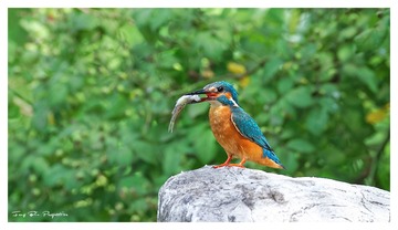 IMG_1712_DxO