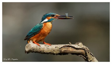 IMG_1761_DxO