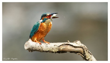 IMG_1765_DxO