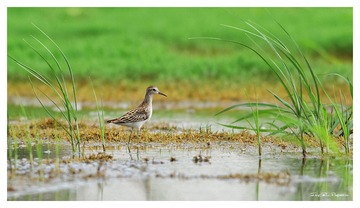 IMG_6554_DxO