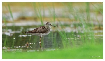 IMG_6558_DxO