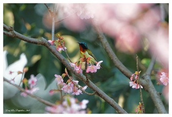181A0421_DxO