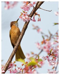 181A9972_DxO