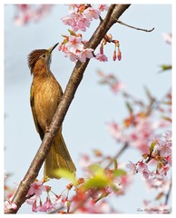 181A9983_DxO