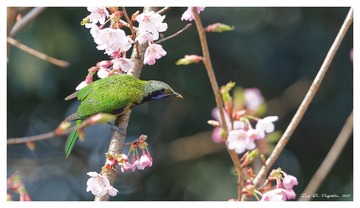 181A0142_DxO