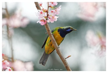 181A0243_DxO