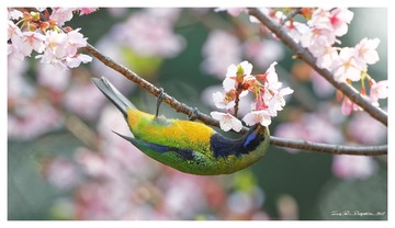 181A0267_DxO