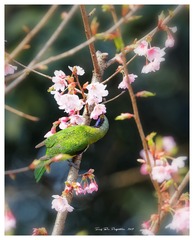 181A0141_DxO
