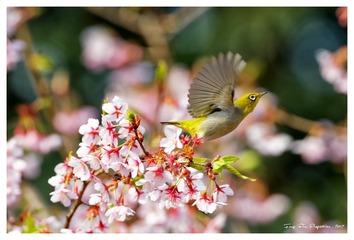 181A9933_DxO_DxO