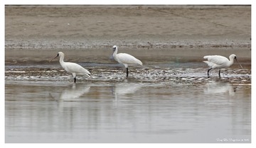 181A7735_DxO_DxO