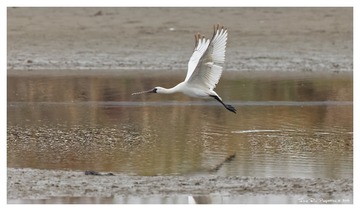 181A7750_DxO_DxO