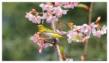 181A0510_DxO