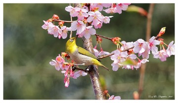 181A0512_DxO