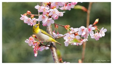 181A0523_DxO