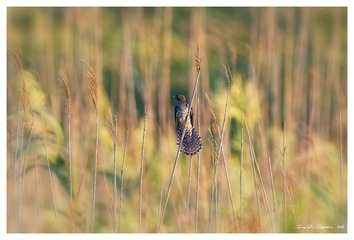 181A5065_DxO