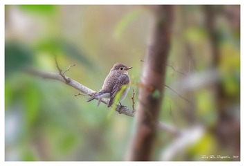 181A7573_DxO