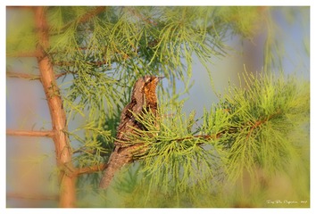 181A5125_DxO