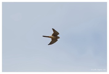 181A7241_DxO
