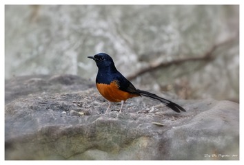 181A7927_DxO
