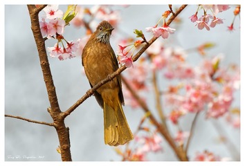 181A9997_DxO