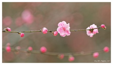 181A0533_DxO
