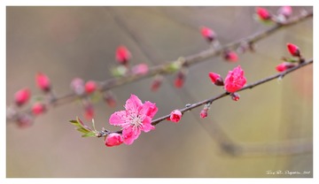 181A0538_DxO
