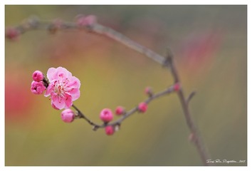 181A0543_DxO