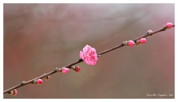 181A0545_DxO