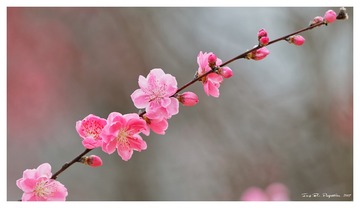 181A0547_DxO