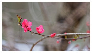 181A0552_DxO