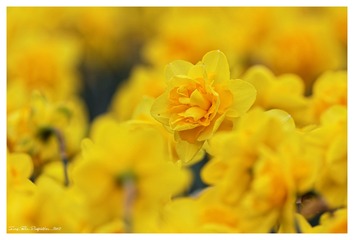 181A0557_DxO