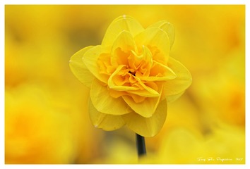 181A0558_DxO