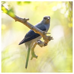 3U1A7579_DxO