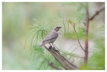 181A6354_DxO