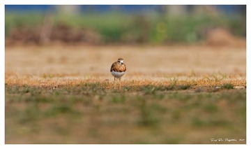 181A0814_DxO